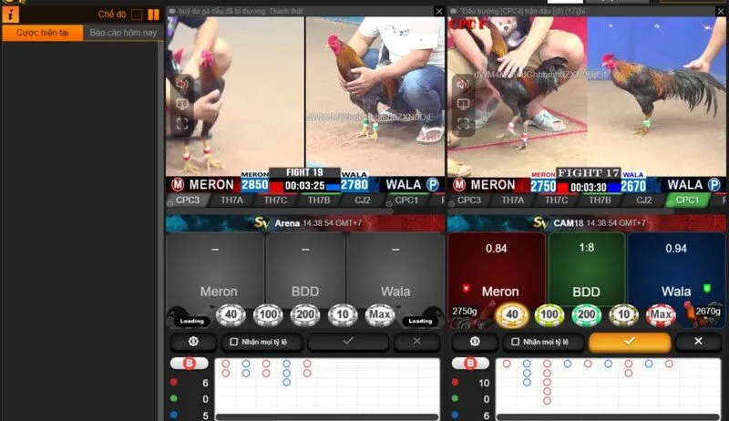 ỷ lệ cược tại sảnh đá gà