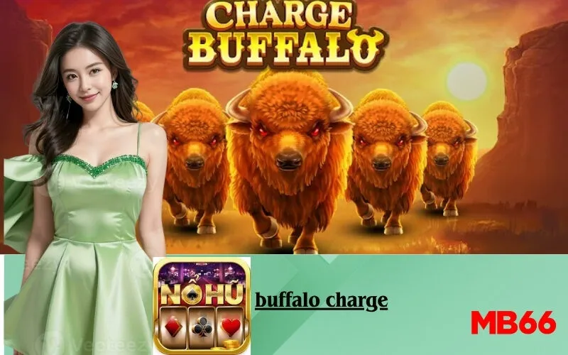 buffalo charge