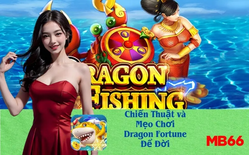 Chiến Thuật và Mẹo Chơi Dragon Fortune Để Đời