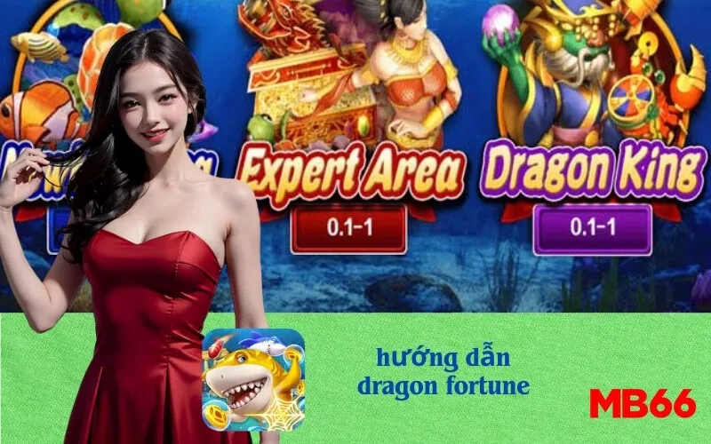 hướng dẫn dragon fortune