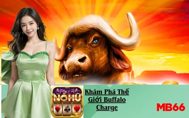 Khám Phá Thế Giới Buffalo Charge