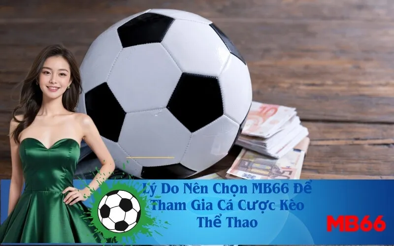 Lý Do Nên Chọn MB66 Để Tham Gia Cá Cược Kèo Thể Thao