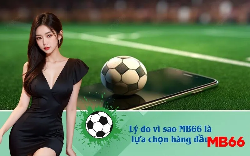 Lý do vì sao MB66 là lựa chọn hàng đầu