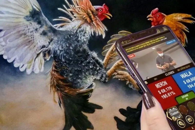 chọn cửa cược hợp lý